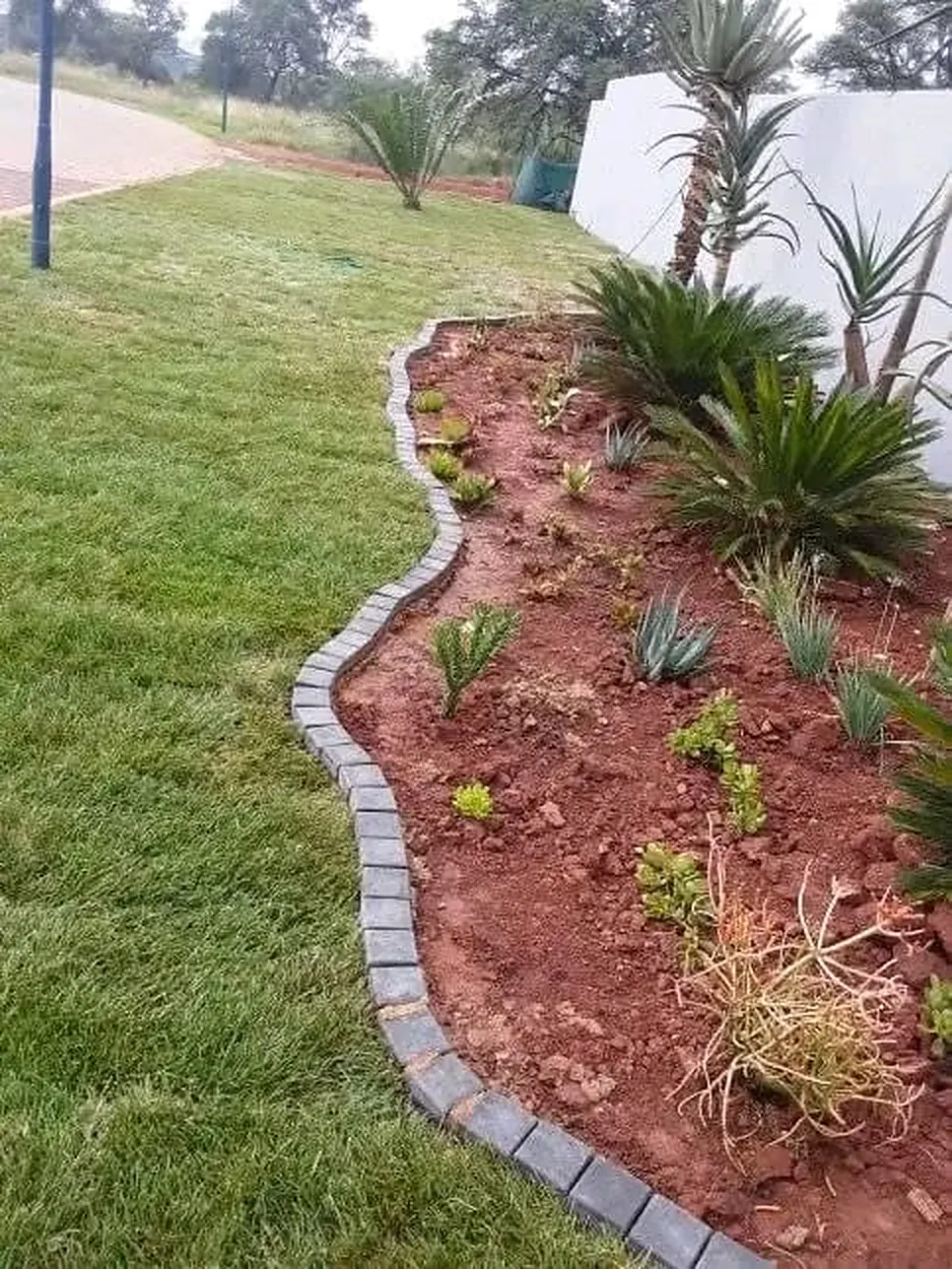 Cobble edging separating lawn from a newly planted succulent bed