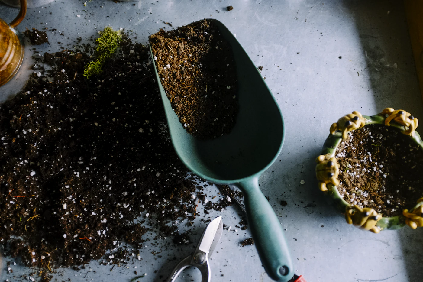 Prepared soil and a hand scoop laid out on a work surface